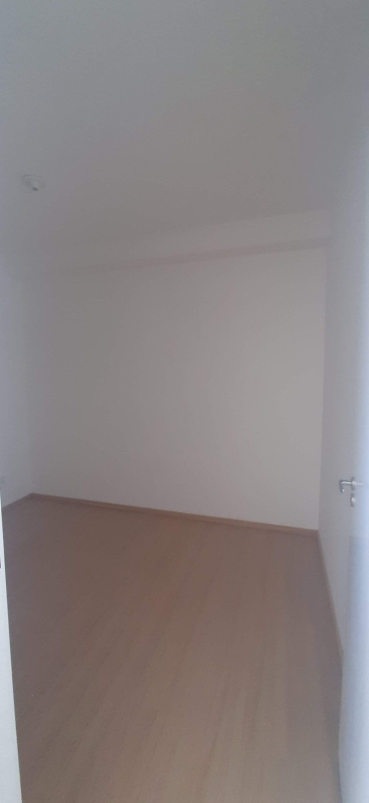 Imagem Apartamento com 2 Quartos para Alugar, 40 m²em Cidade Ademar - São Paulo