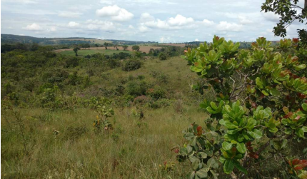 Imagem Fazenda à Venda, 8 Alq GOem Zona Rural - Silvânia Imagem Fazenda à Venda, 8 Alq GOem Zona Rural - Silvânia