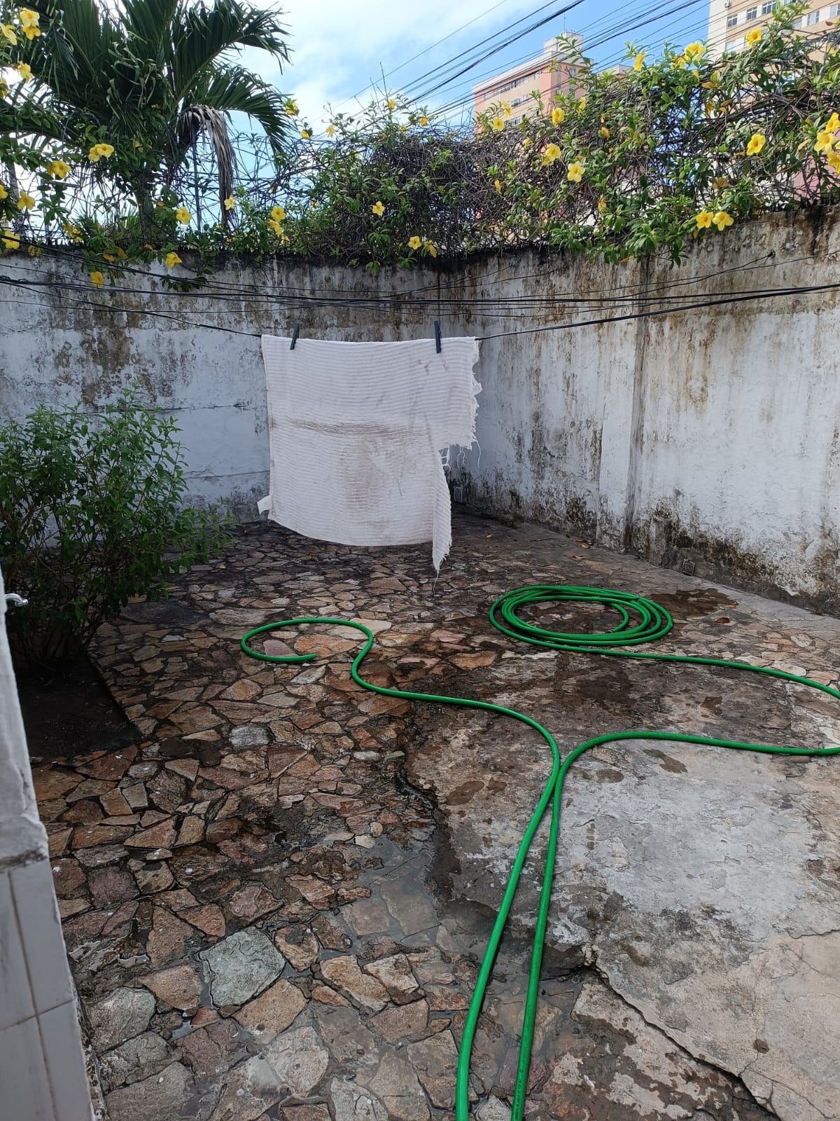 Imagem Casa com 3 Quartos à Venda, 493 m² em Farias Brito - Fortaleza Imagem Casa com 3 Quartos à Venda, 493 m² em Farias Brito - Fortaleza