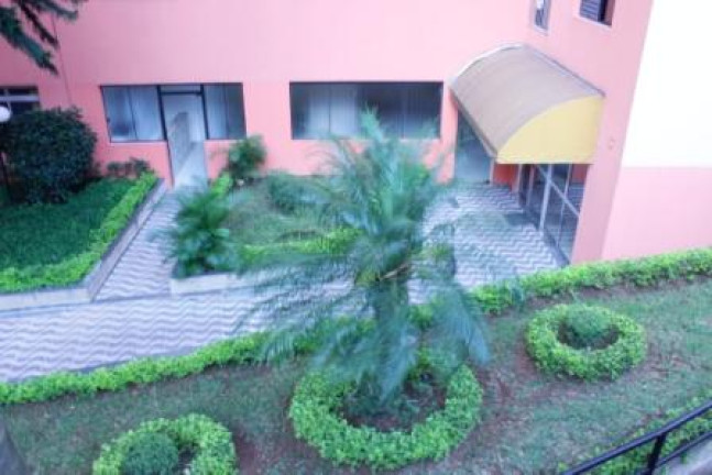 Imagem Apartamento com 3 Quartos à Venda, 60 m² em Vila Moraes - São Paulo