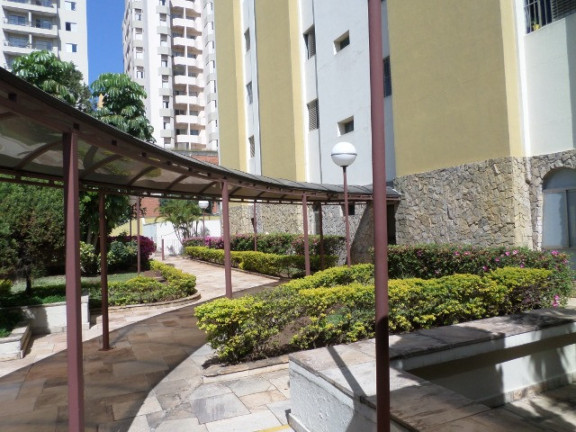 Imagem Apartamento com 2 Quartos para Alugar, 58 m² em Saúde - São Paulo Imagem Apartamento com 2 Quartos para Alugar, 58 m² em Saúde - São Paulo