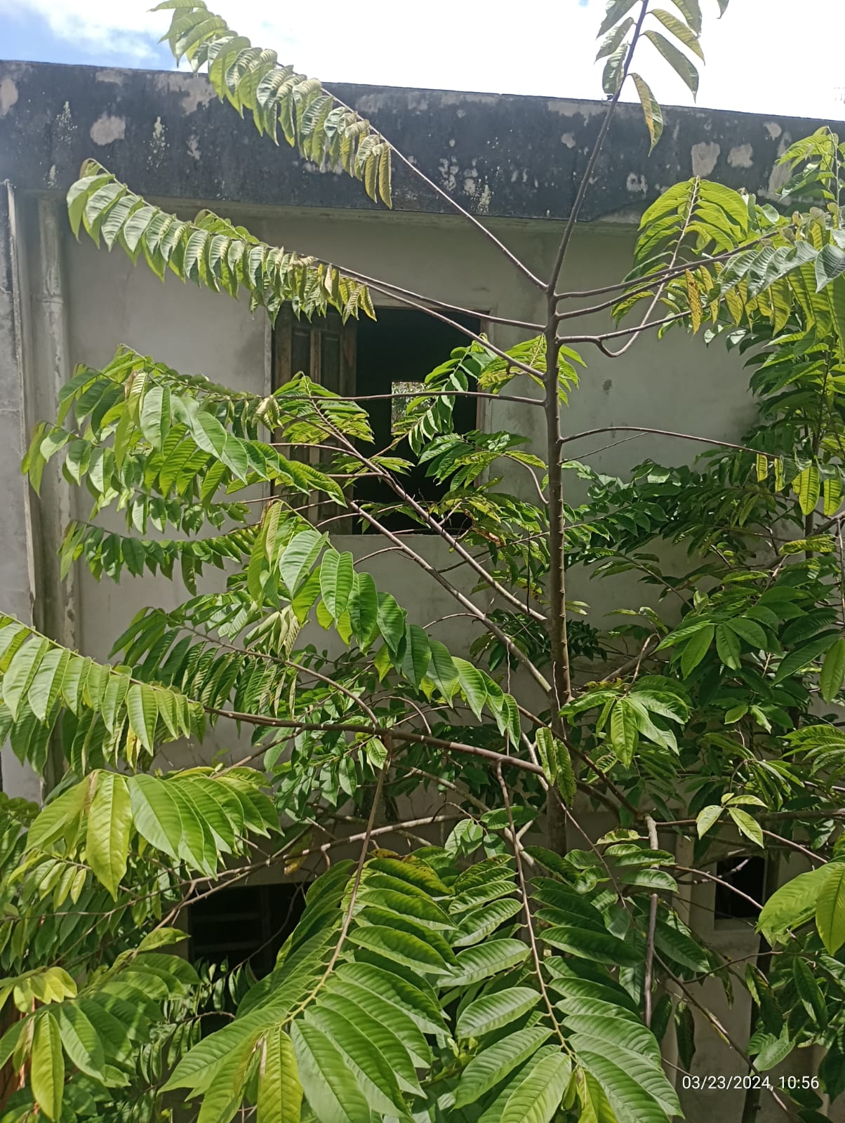 Imagem Casa com 5 Quartos à Venda, 362 m²em Parque Guajará (Icoaraci) - Belém