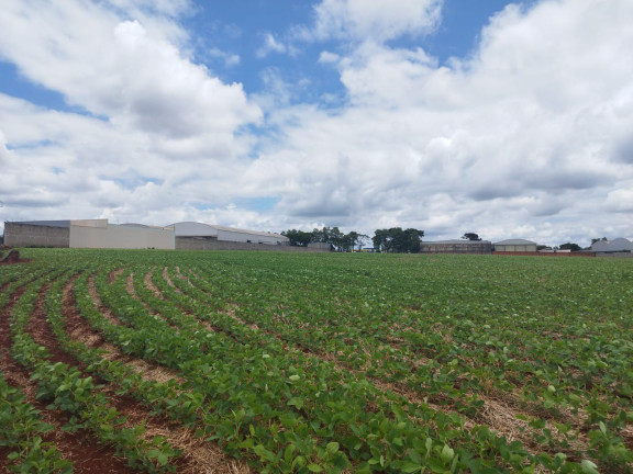 Imagem Terreno à Venda, em Vila Industrial - Arapongas Imagem Terreno à Venda, em Vila Industrial - Arapongas