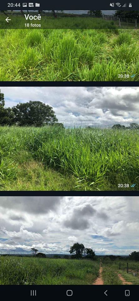 Imagem Fazenda à Venda, 1047 HA em ZONA RURAL - Guiratinga Imagem Fazenda à Venda, 1047 HA em ZONA RURAL - Guiratinga