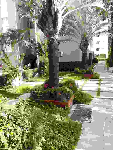 Imagem Apartamento com 2 Quartos à Venda, 49 m² em Parque Itália - Campinas Imagem Apartamento com 2 Quartos à Venda, 49 m² em Parque Itália - Campinas