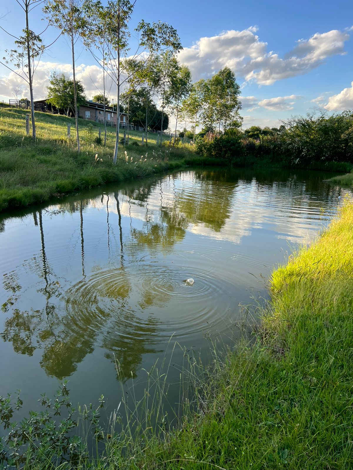 Imagem Chácara à Venda, 100.000 m²em Lomba Grande - Novo Hamburgo