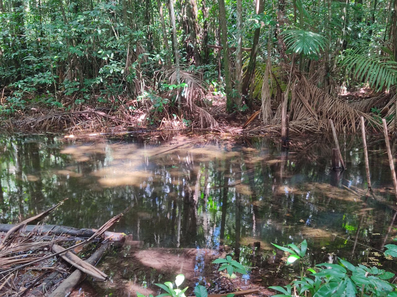 Imagem Terreno à Venda, 300.000 m² em - Bujaru Imagem Terreno à Venda, 300.000 m² em - Bujaru
