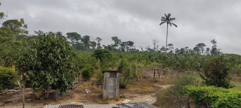 Imagem Terreno à Venda, 2.000 m² em Zona Rural - Humaitá Imagem Terreno à Venda, 2.000 m² em Zona Rural - Humaitá