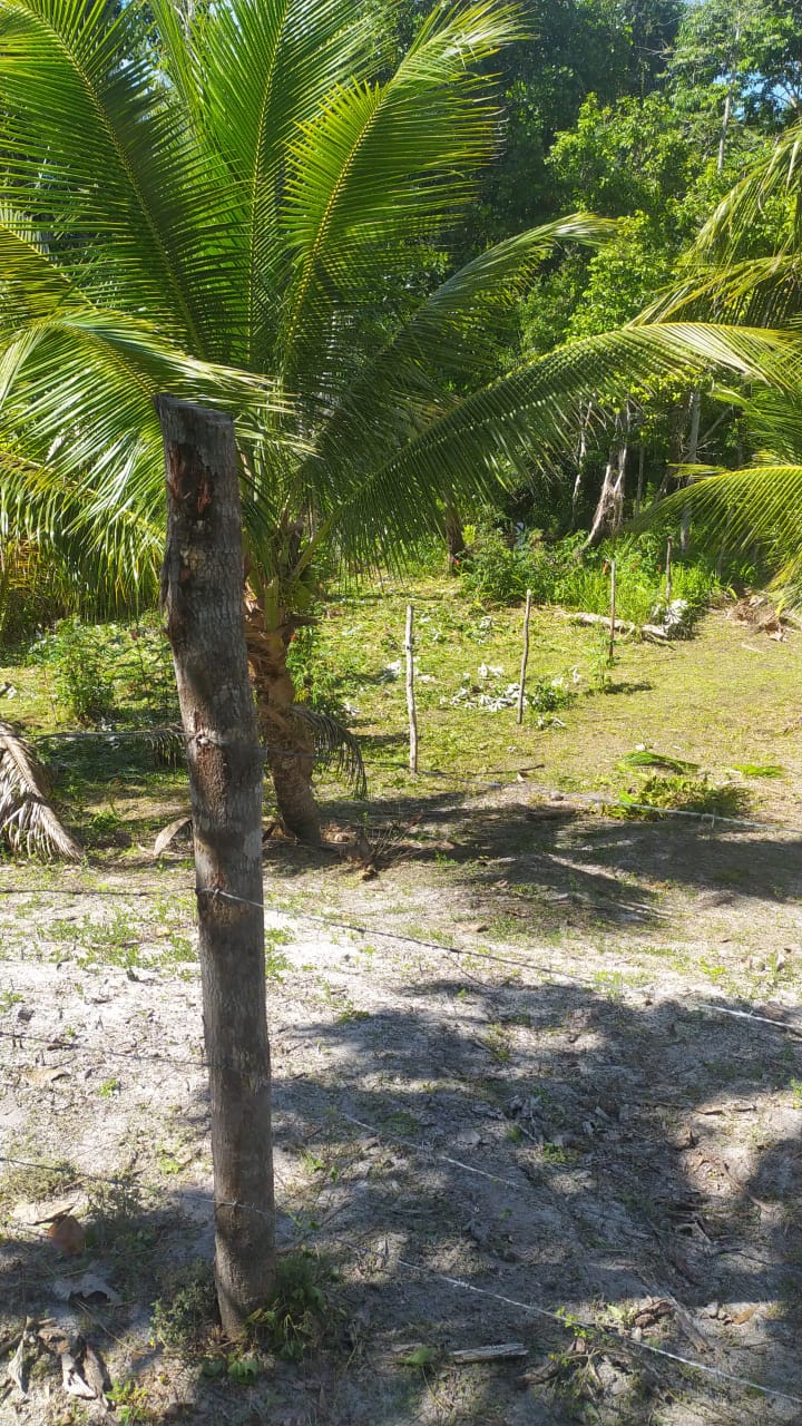Imagem Terreno à Venda, 310 m²em Velha Boipeba - Cairu Imagem Terreno à Venda, 310 m²em Velha Boipeba - Cairu