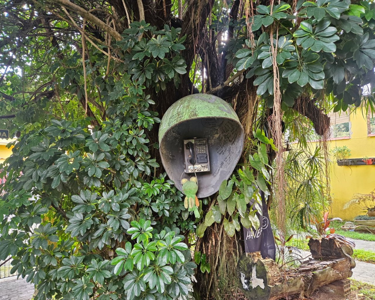 Imagem Casa com 1 Quarto à Venda, 102 m² em Jardim São Francisco - Cubatão Imagem Casa com 1 Quarto à Venda, 102 m² em Jardim São Francisco - Cubatão