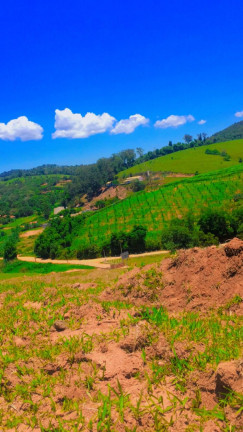 Imagem Terreno à Venda, 1.000 m² em Centro - Atibaia Imagem Terreno à Venda, 1.000 m² em Centro - Atibaia