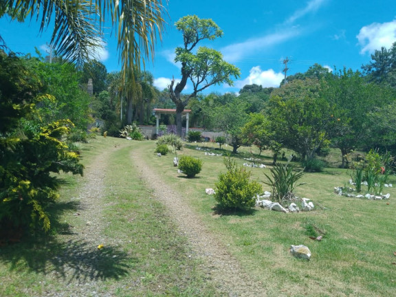 Imagem Chácara com 4 Quartos à Venda, 4.850 m² em LEAO - Agudos do Sul