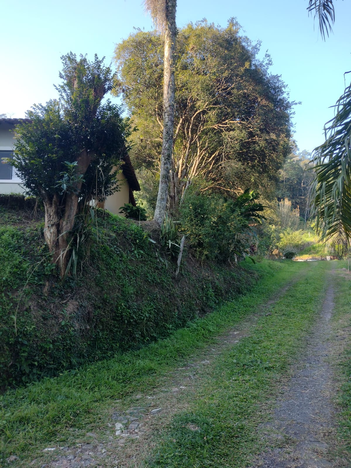Imagem Chácara com 3 Quartos à Venda, 500 m² em Guararema - Guararema
