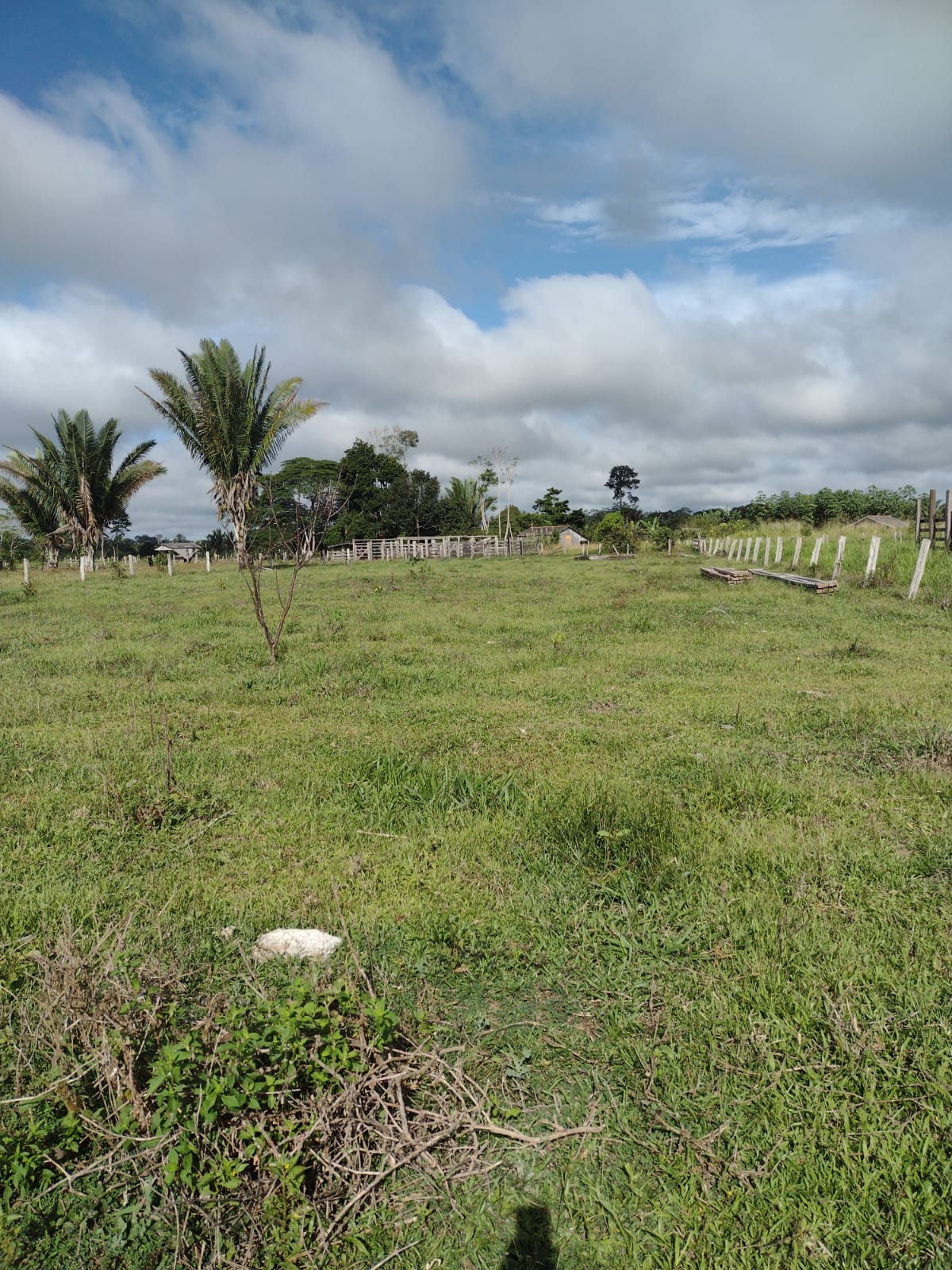 Imagem Fazenda à Venda, 29 HAem Zona Rural - Candeias do Jamari