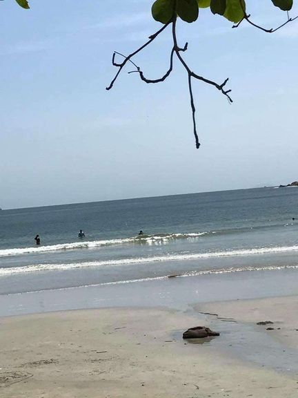 Imagem Terreno à Venda, 624 m² em Pitangueiras - Guarujá