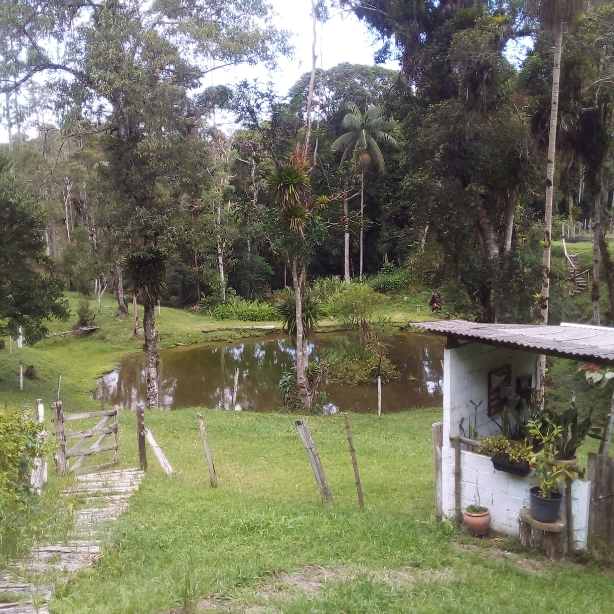Imagem Chácara com 5 Quartos à Venda, 30 m² em Ribeirão do Ouro - Tapiraí Imagem Chácara com 5 Quartos à Venda, 30 m² em Ribeirão do Ouro - Tapiraí
