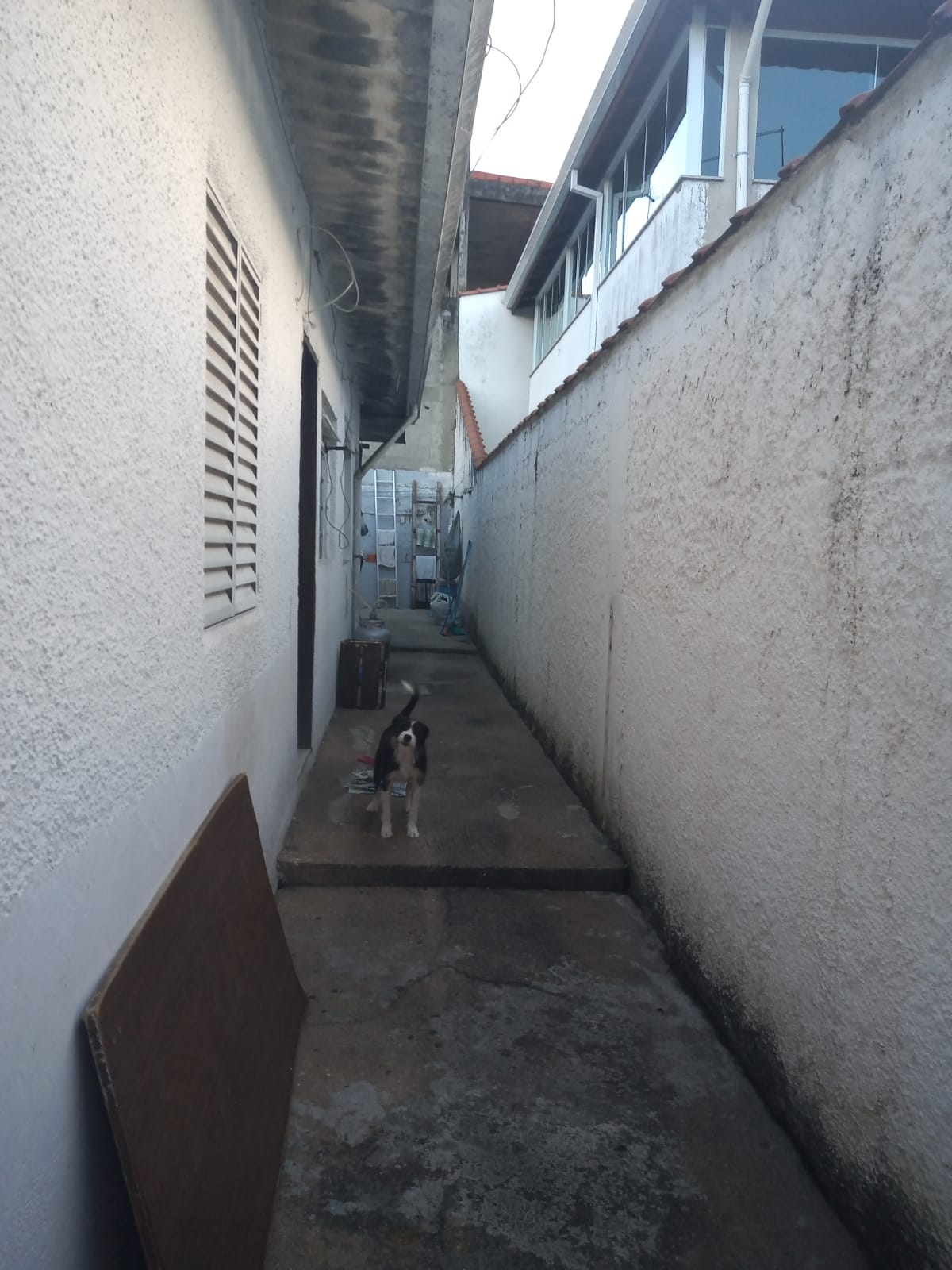 Imagem Casa com 2 Quartos à Venda, 65 m² em Jardim Leonor - Cotia Imagem Casa com 2 Quartos à Venda, 65 m² em Jardim Leonor - Cotia
