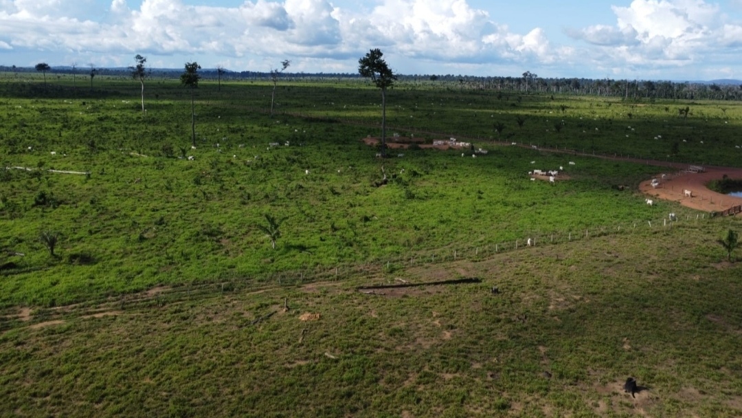 Imagem Fazenda à Venda, 430 m² em Centro - São Félix do Xingu Imagem Fazenda à Venda, 430 m² em Centro - São Félix do Xingu