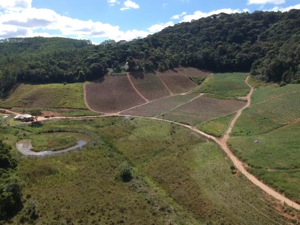 Imagem Terreno à Venda, 550 m²em Zona Rural  - Domingos Martins