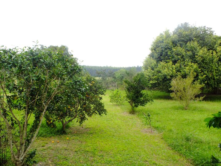 Imagem Chácara com 2 Quartos à Venda, 2.800 m² em Araruama