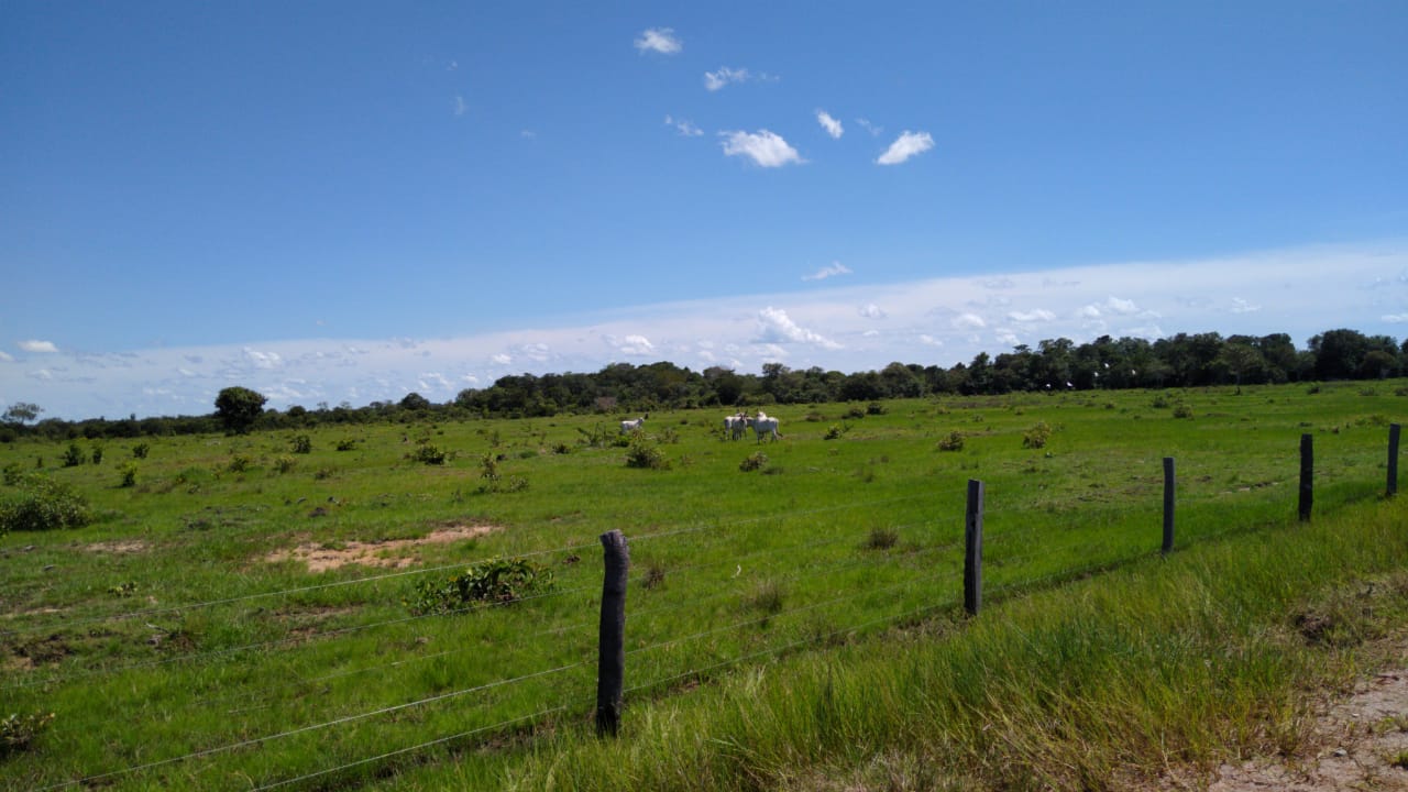 Imagem Fazenda à Venda, 543 Alq GOem Zona Rural - Cocalinho Imagem Fazenda à Venda, 543 Alq GOem Zona Rural - Cocalinho