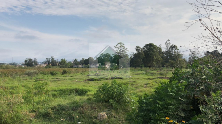 Imagem Terreno à Venda, 49.840 m² em Jardim Izildinha - Guarulhos Imagem Terreno à Venda, 49.840 m² em Jardim Izildinha - Guarulhos