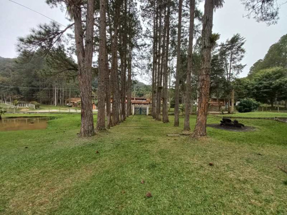 Imagem Chácara com 6 Quartos à Venda, 400 m² em PALESTINA - Juquitiba