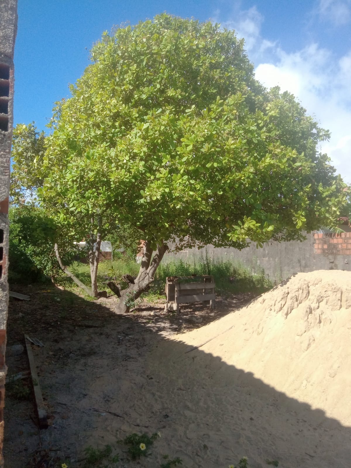 Imagem Terreno à Venda, 516 m² em  - São José da Coroa Grande
