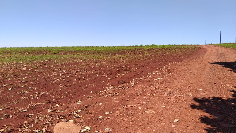 Fazenda à Venda,  em Gleba Ribeirão Maringá - Maringá