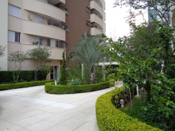 Imagem Apartamento com 3 Quartos para Alugar, 61 m² em Vila Pompéia - São Paulo Imagem Apartamento com 3 Quartos para Alugar, 61 m² em Vila Pompéia - São Paulo