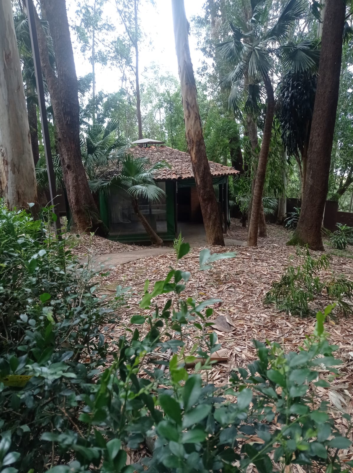 Imagem Apartamento com 3 Quartos à Venda, 76 m²em Jardim Bontempo - Taboão da Serra Imagem Apartamento com 3 Quartos à Venda, 76 m²em Jardim Bontempo - Taboão da Serra