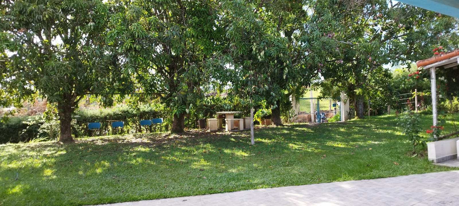 Imagem Chácara com 4 Quartos à Venda, 440 m² em - Sarapuí Imagem Chácara com 4 Quartos à Venda, 440 m² em - Sarapuí