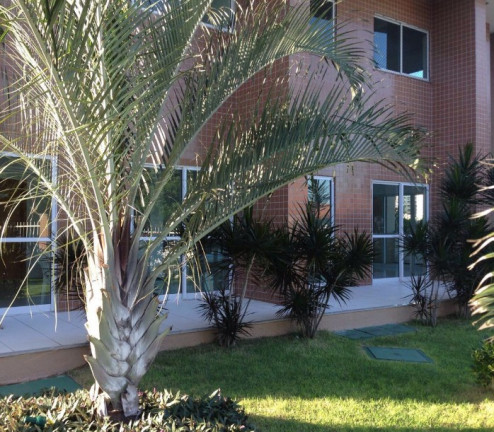 Imagem Apartamento com 2 Quartos à Venda, 70 m²em Parque Iracema - Fortaleza Imagem Apartamento com 2 Quartos à Venda, 70 m²em Parque Iracema - Fortaleza