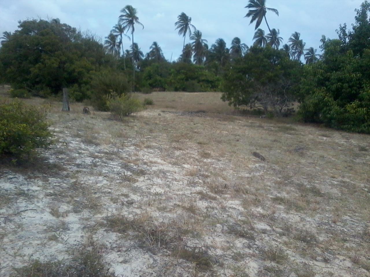 Imagem Terreno à Venda, 168.640 metro em Praia de Pititinga - Rio do Fogo Imagem Terreno à Venda, 168.640 metro em Praia de Pititinga - Rio do Fogo