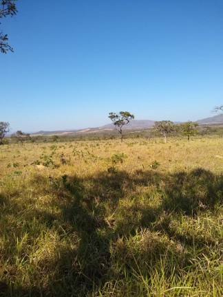 Imagem Fazenda à Venda, em Área Rural - Mimoso de Goiás Imagem Fazenda à Venda, em Área Rural - Mimoso de Goiás