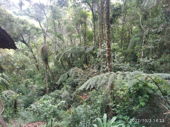 Imagem Terreno à Venda, 1.052 m² em Colinas do Imbiri - Campos do Jordão Imagem Terreno à Venda, 1.052 m² em Colinas do Imbiri - Campos do Jordão