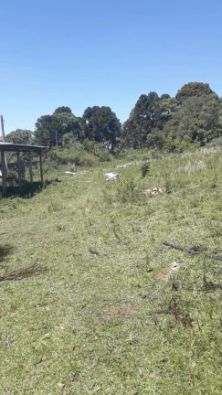 Chácara à Venda, 6.000 m² em DIAMANTE - Mandirituba