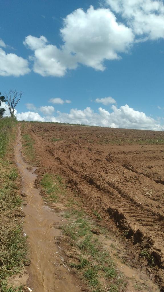 Imagem Fazenda à Venda, 6 Alq. SP em Valadão - Piedade Imagem Fazenda à Venda, 6 Alq. SP em Valadão - Piedade