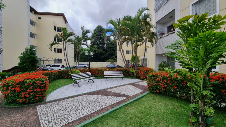 Imagem Apartamento com 3 Quartos à Venda, 55 m² em Jardim Cearense - Fortaleza Imagem Apartamento com 3 Quartos à Venda, 55 m² em Jardim Cearense - Fortaleza