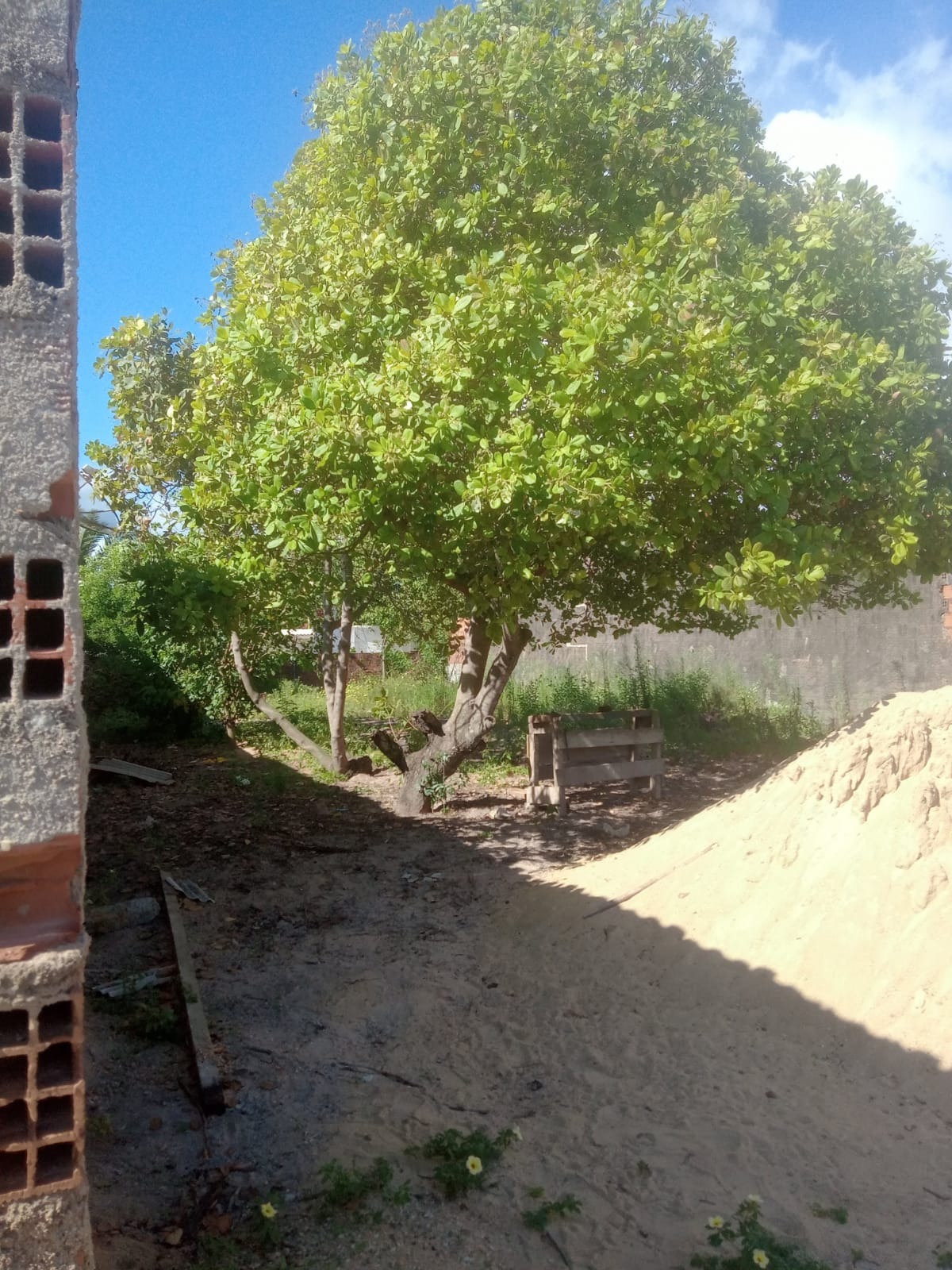 Imagem Terreno à Venda, 516 m² em  - São José da Coroa Grande