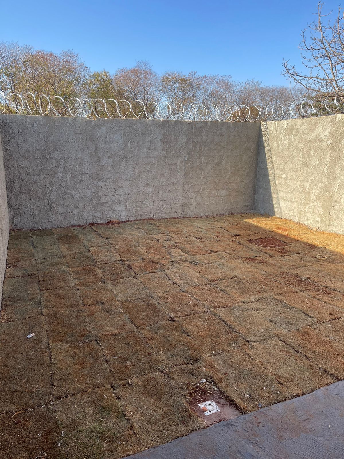Imagem Casa com 2 Quartos à Venda, 70 m²em Parque Los Angeles 1ª Etapa - Goianira