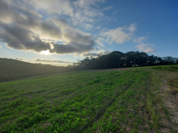 Imagem Terreno à Venda, 500 m² em Jardim Felicidade (Zona Norte) - São Paulo Imagem Terreno à Venda, 500 m² em Jardim Felicidade (Zona Norte) - São Paulo