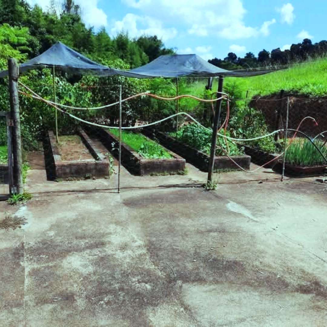 Imagem Fazenda à Venda, 4 Alq SPem rural - Caconde