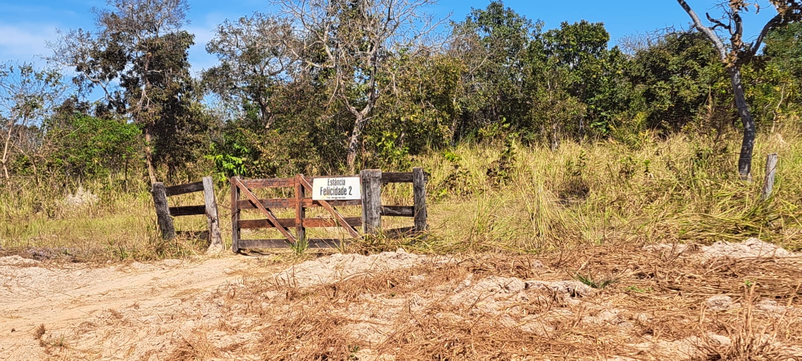Imagem Fazenda à Venda, 25 Alq GOem Zona Rural - Araguaiana Imagem Fazenda à Venda, 25 Alq GOem Zona Rural - Araguaiana