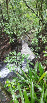 Imagem Terreno à Venda, em Santaninha - Pedras Grandes Imagem Terreno à Venda, em Santaninha - Pedras Grandes