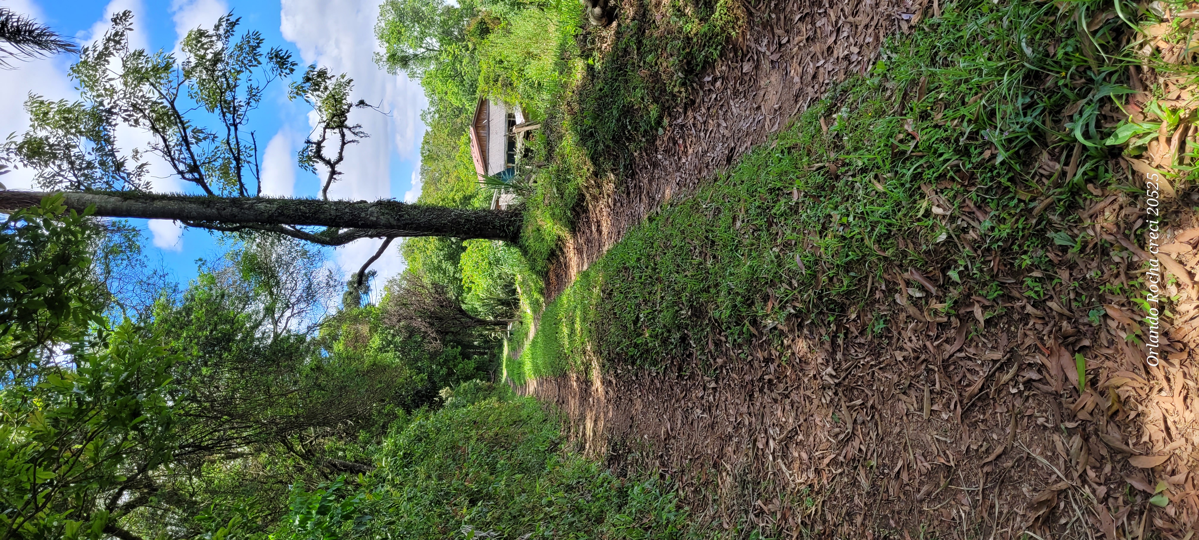 Imagem Terreno à Venda, 3 m²em São Miguel - Curitiba Imagem Terreno à Venda, 3 m²em São Miguel - Curitiba