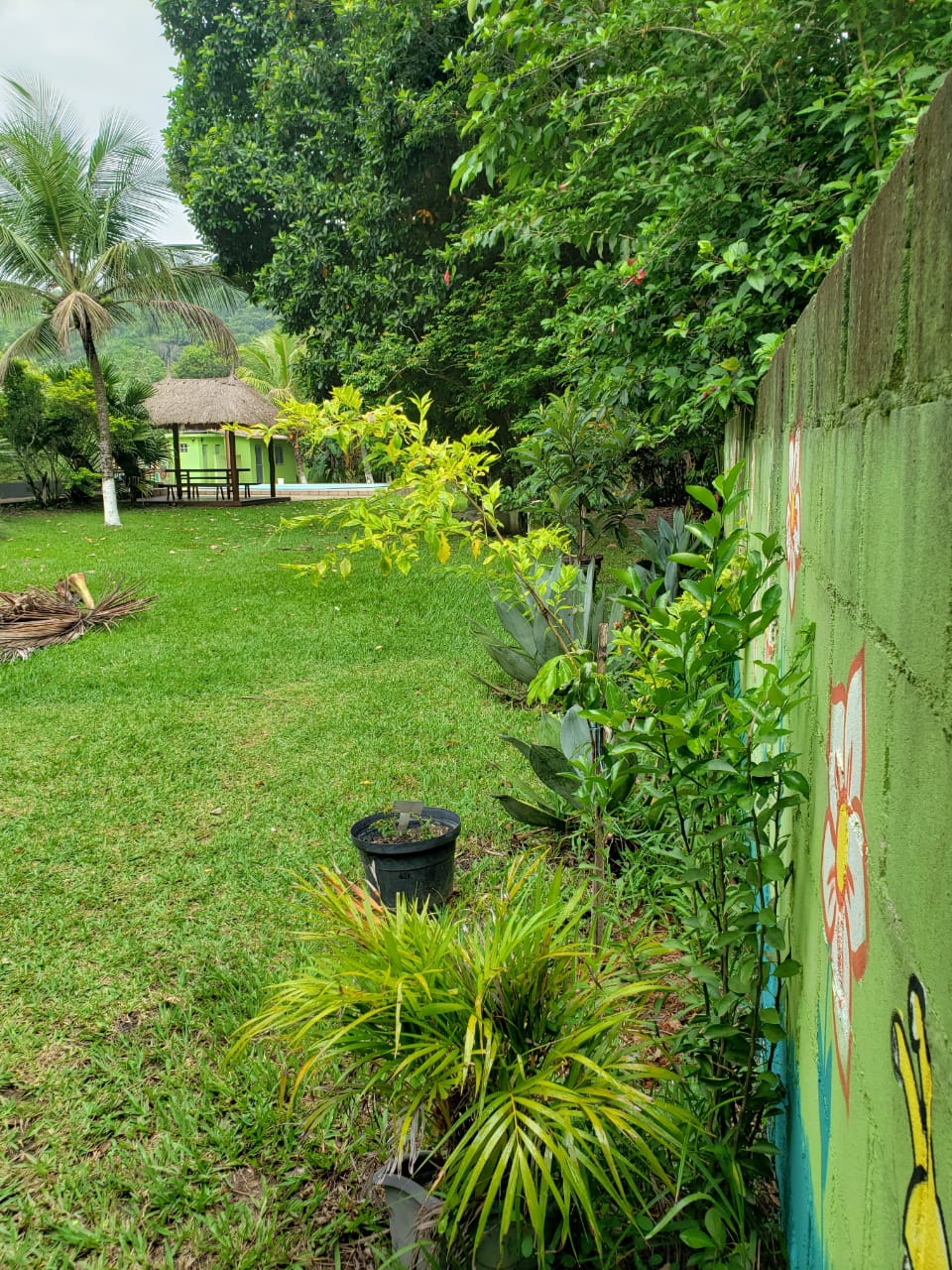 Imagem Chácara com 2 Quartos à Venda, 2.000 m² em Mazomba - Itaguaí Imagem Chácara com 2 Quartos à Venda, 2.000 m² em Mazomba - Itaguaí