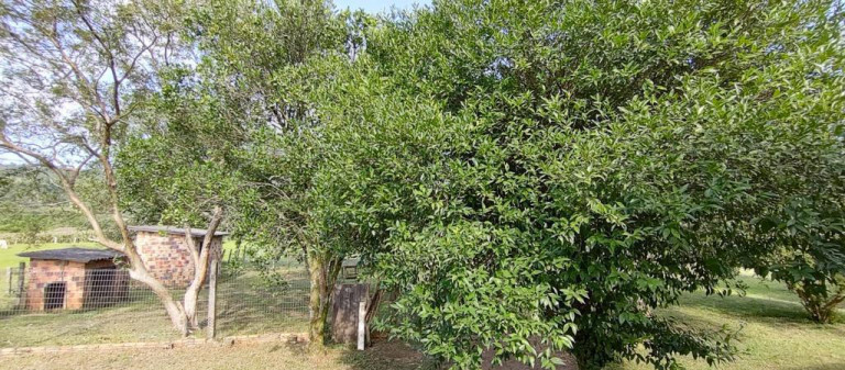 Imagem Chácara com 3 Quartos à Venda, 170 m² em Vila São Jorge - Siderópolis
