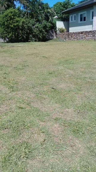 Imagem Terreno à Venda, 900 m² em Rio Tavares - Florianópolis