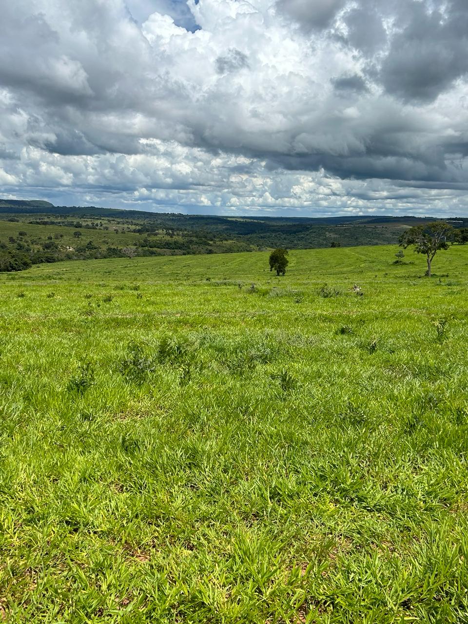 Imagem Fazenda à Venda, 198 Alq GOem Centro - Mineiros Imagem Fazenda à Venda, 198 Alq GOem Centro - Mineiros